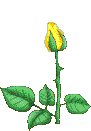 ดอกไม้ ภาพเคลื่อนไหว-gif